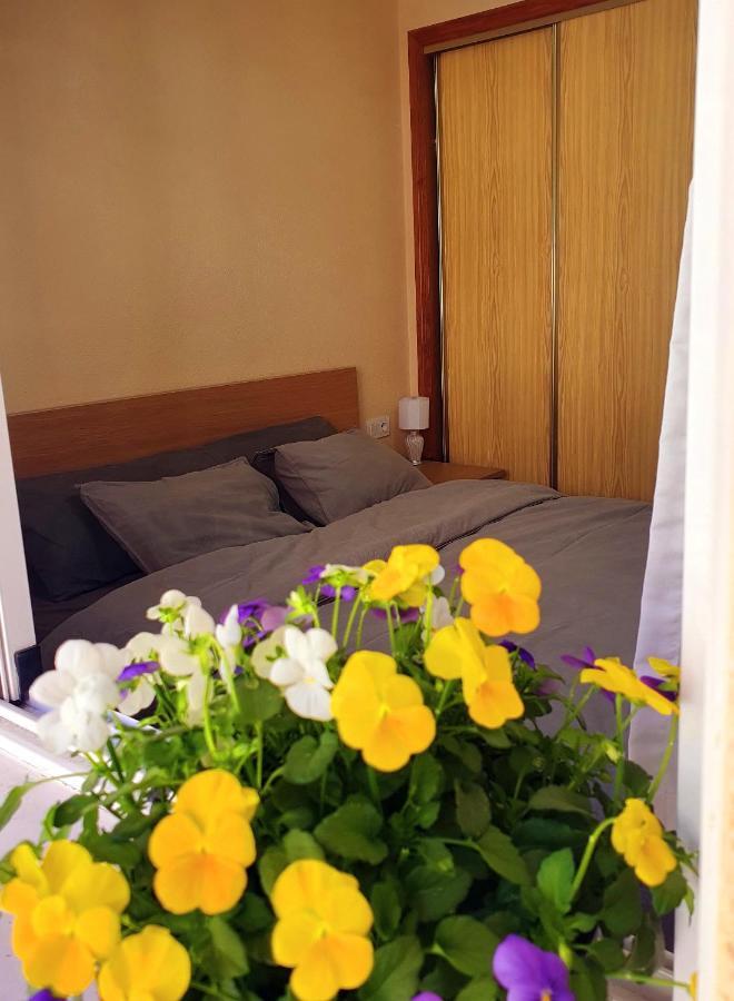 Isamar Apartamento Playa Del Cura Торевьиа Экстерьер фото